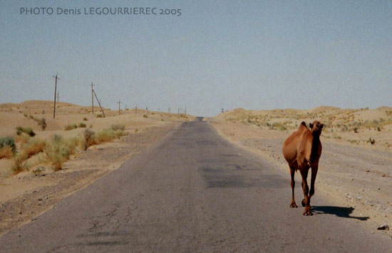 karakum desert road