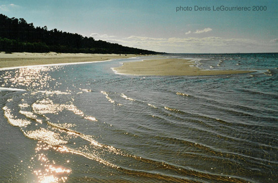 lielupe baltic coast