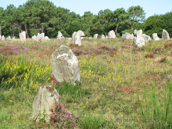 alignement menhirs kerlescan