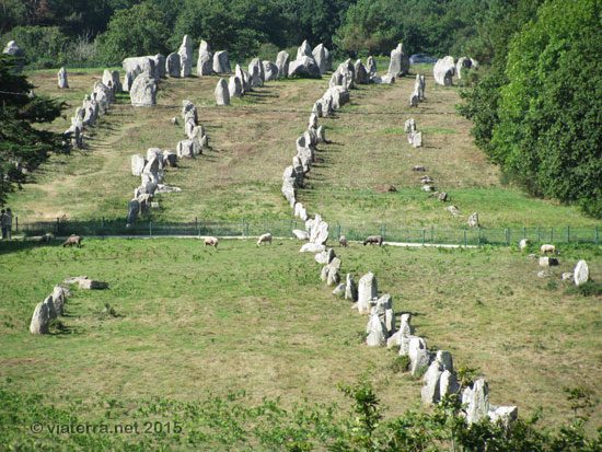 alignements kermario carnac