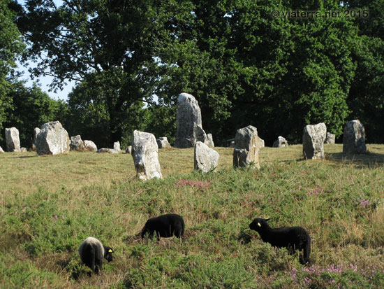 alignements manio carnac