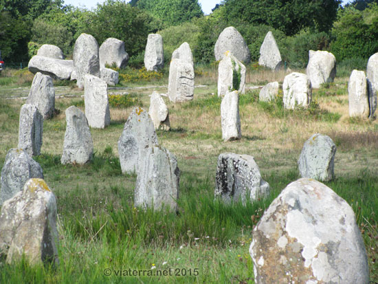 alignements menec carnac3