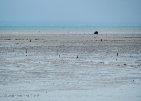 baie mont saint michel