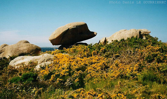 Trégastel cte granit rose