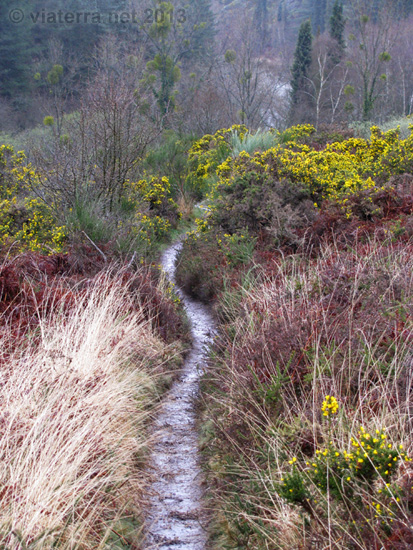 broceliande vallon de la chambre aux loups