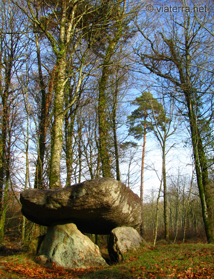 dolmen du roh du chapelle neuve