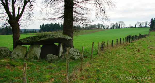 dolmen de kerjagu en colpo