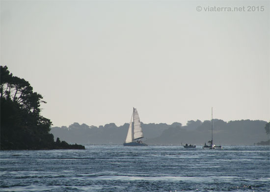 golfe morbihan voiliers