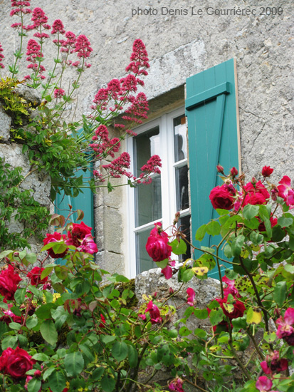 ile aux moines maison bretonne