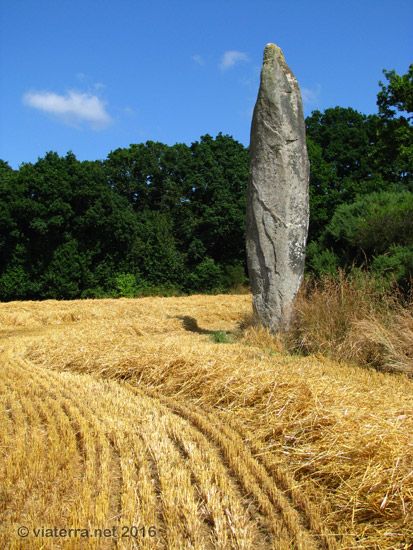 menhir roche longue quintin