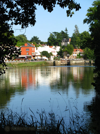 lac de grandlieu aigrette