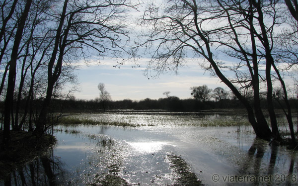 Le lac de Grandlieu son et image