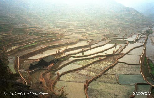 fields in terrrases in china)