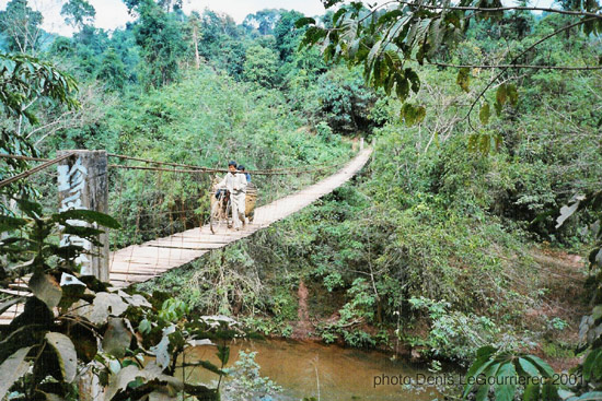 xishuangbanna river bridge