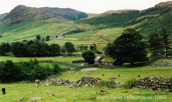 langdale