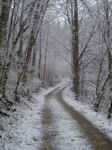 bugey sous la neige