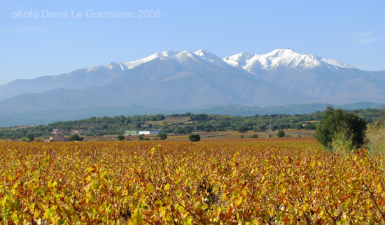 mont canigou