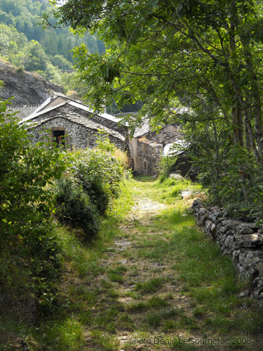 sentier des cevennes