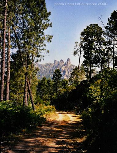 Aiguilles de Bavella