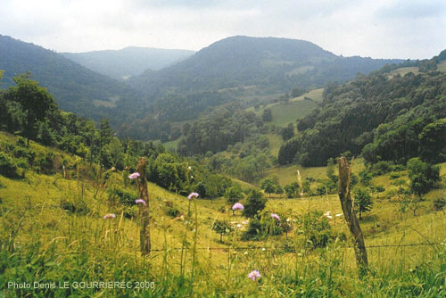 paysage du bugey dans l'ain