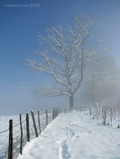 neige bugey