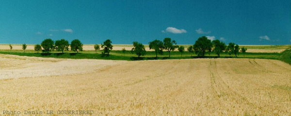 Landschaft Baden-Wurtemberg