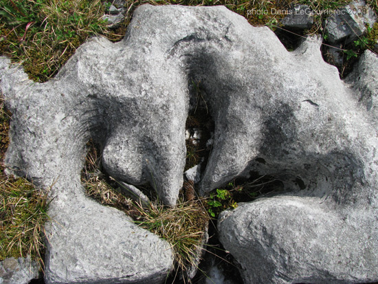 burren rock