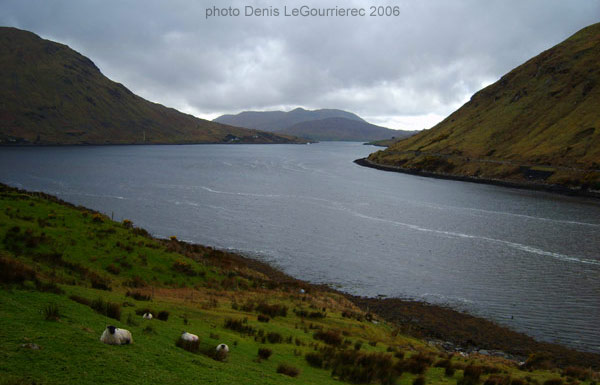 Killary harbour