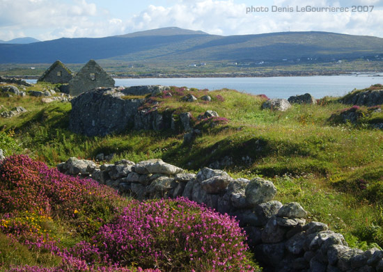 stone wall conneramara