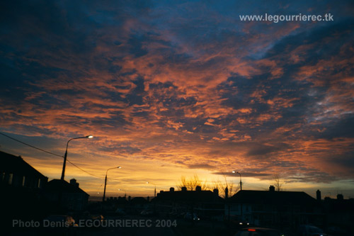 sunrise cork