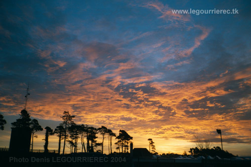 sunrise cork