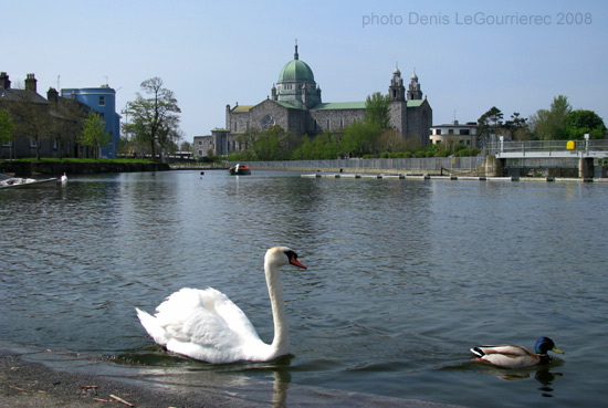 galway cathedral