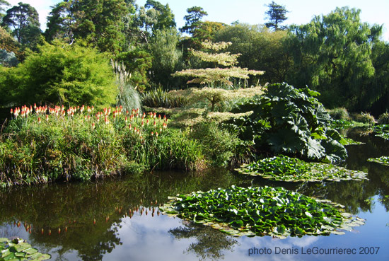 fota botanical garden