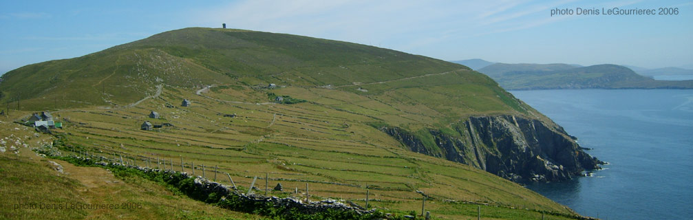 dursey island fields stone walls panorama