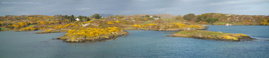 mizen head gorse landscape panorama