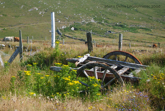 Dursey Island