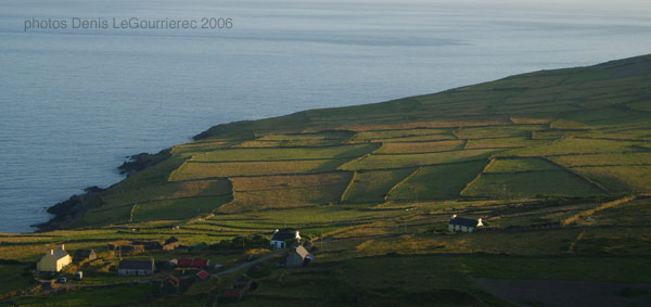 Dursey island