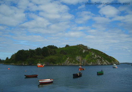 near Lough Hyne