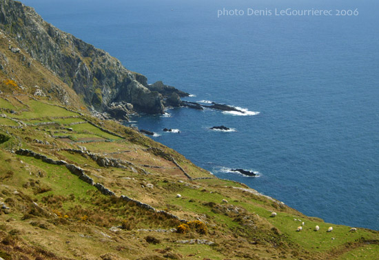 sheep's head peninsula