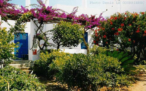 panarea