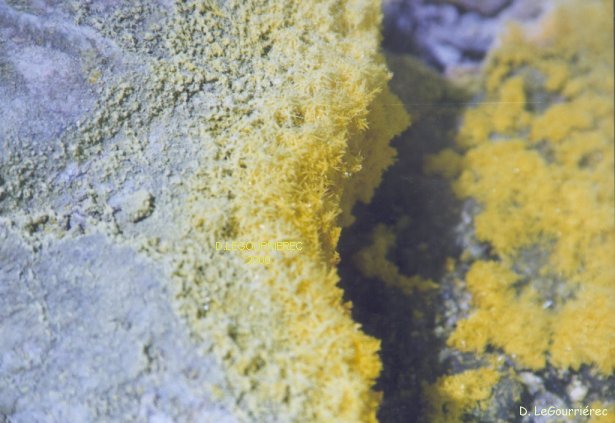 vulcano sulfur deposit