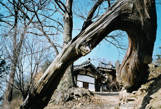 yangdong korea