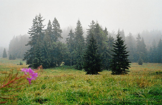 dedinky slovakia