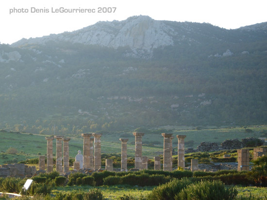 bolonia andalucia