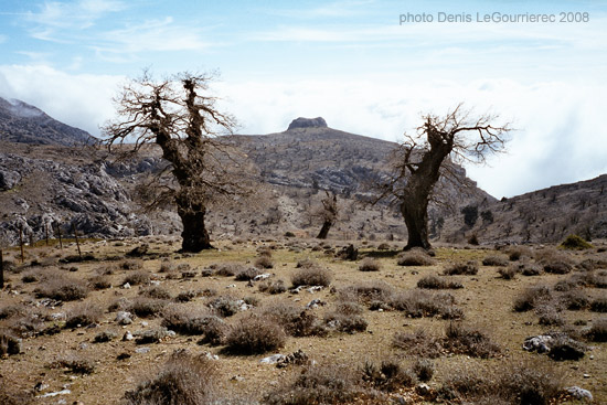 Sierra de las Nieves