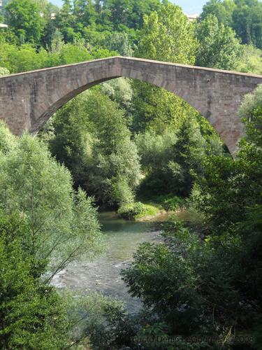 sant joan de les abadesses