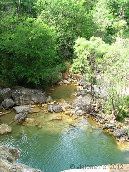 Gorg del torrent de la cabana