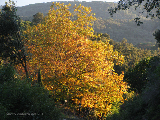 montenegre maresme otoño