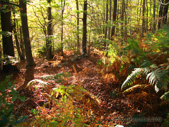 Montseny, Catalonia