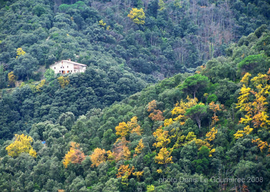 montseny farm mountain slope